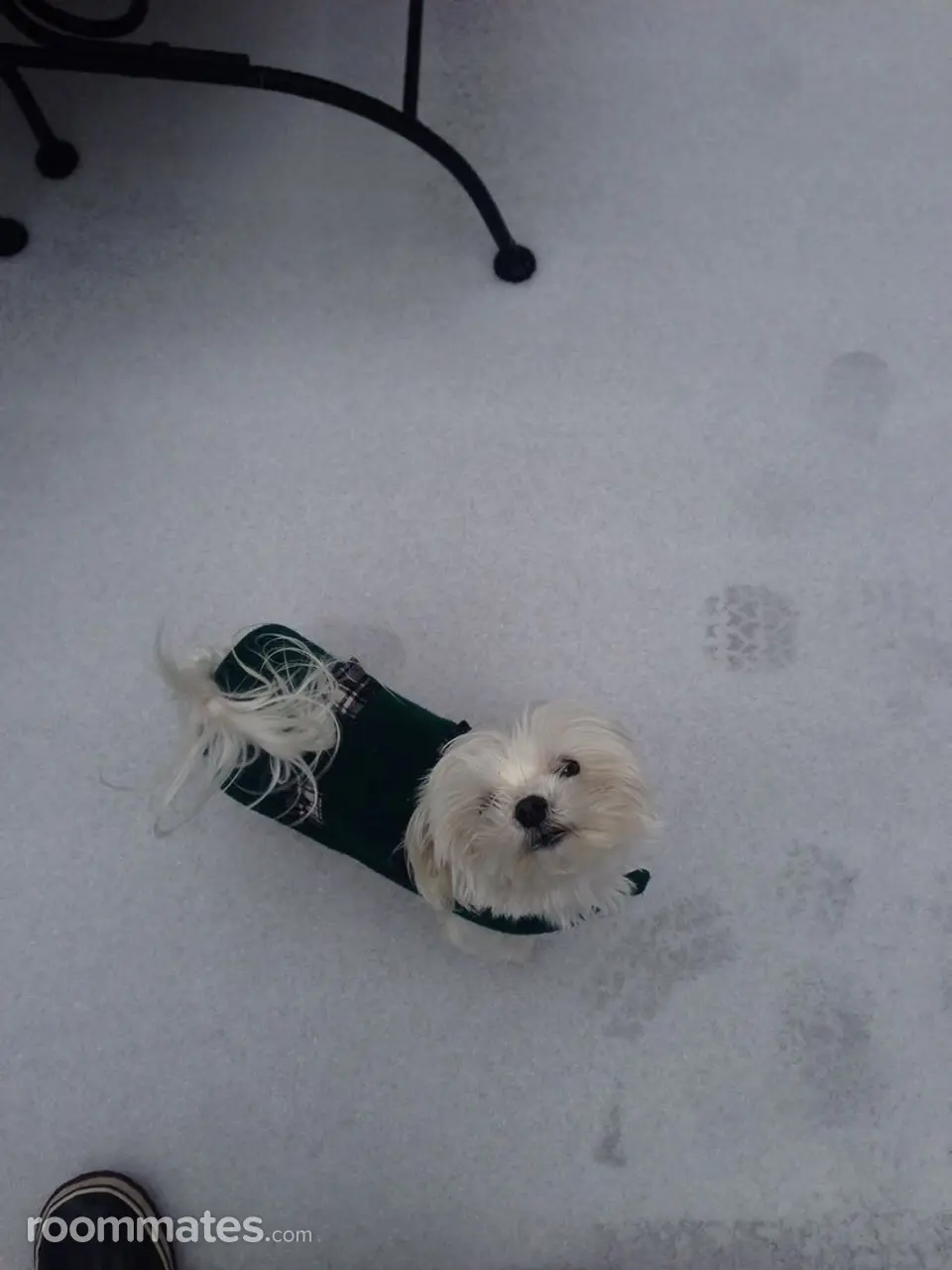 Profile photo 4 of 11