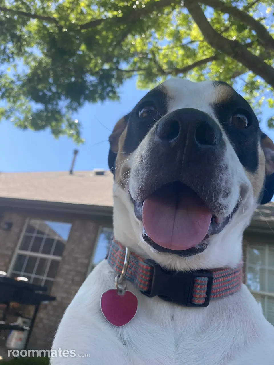 Profile photo 11 of 11