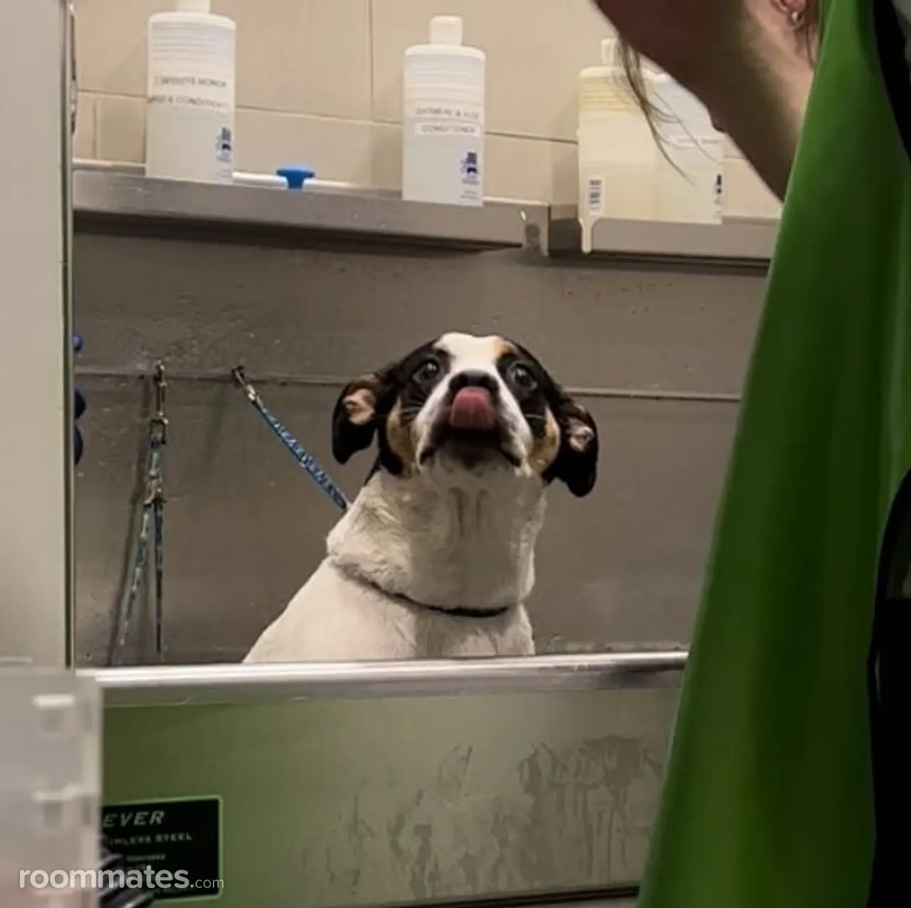 Profile photo 2 of 11