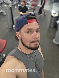 Roommate looking Chandler, AZ, $1100