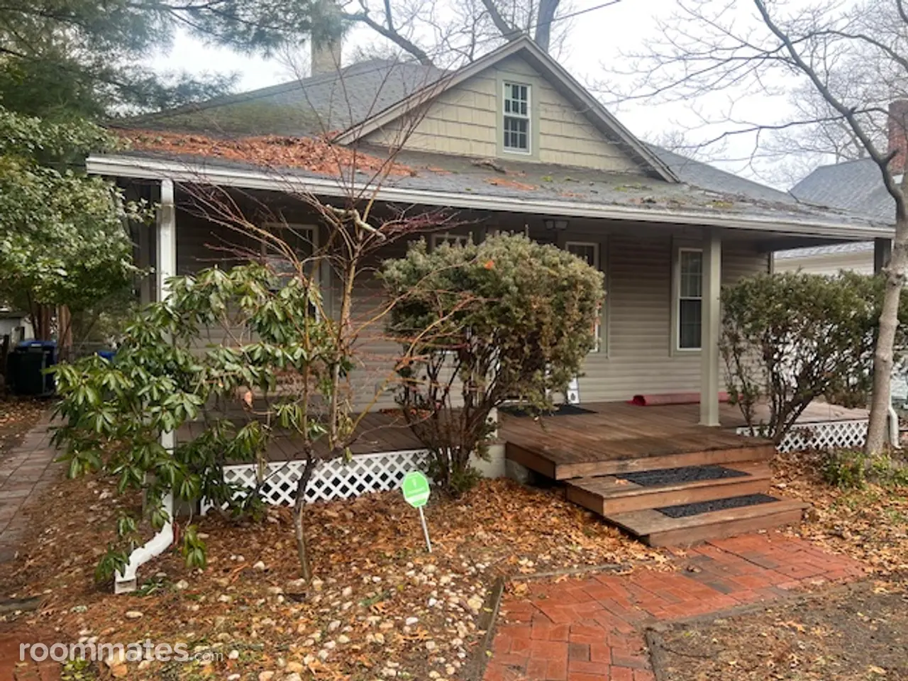 Profile photo 1 of 11