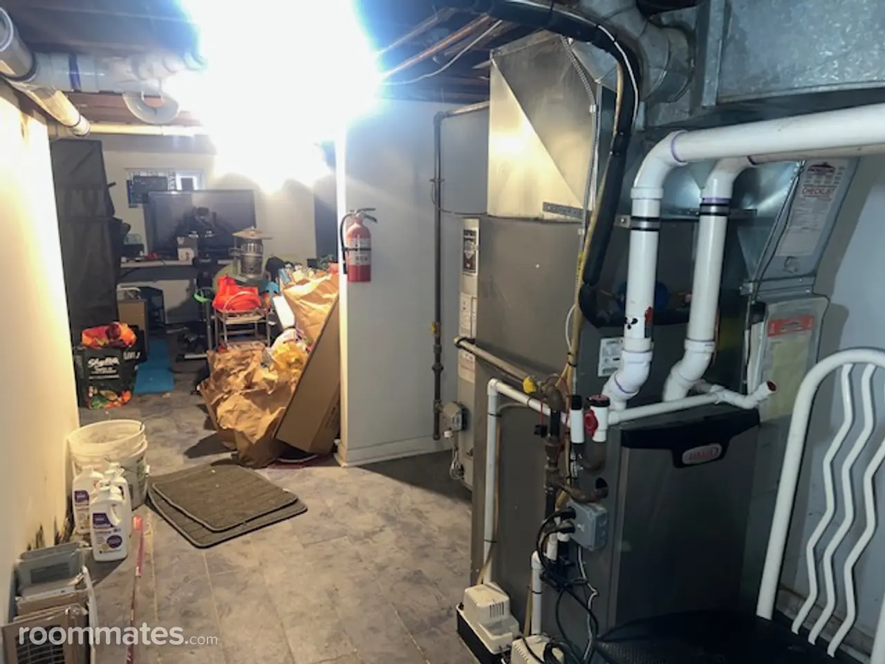 Profile photo 10 of 11