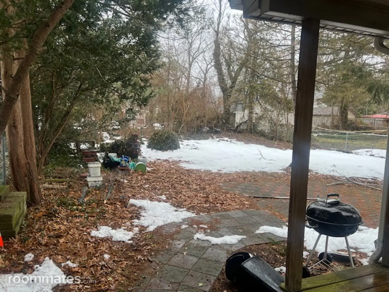 Profile photo 5 of 11