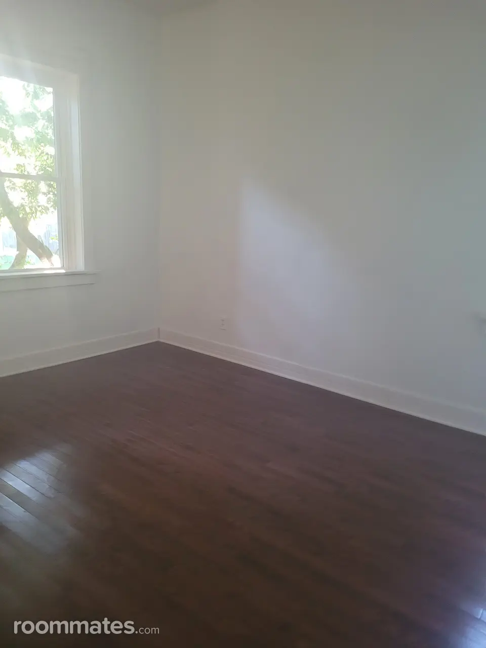 Profile photo 6 of 9