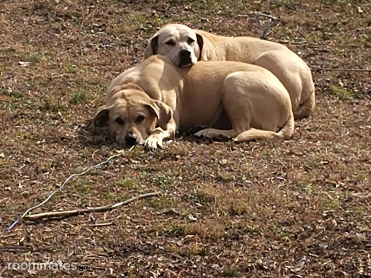 Profile photo 1 of 1