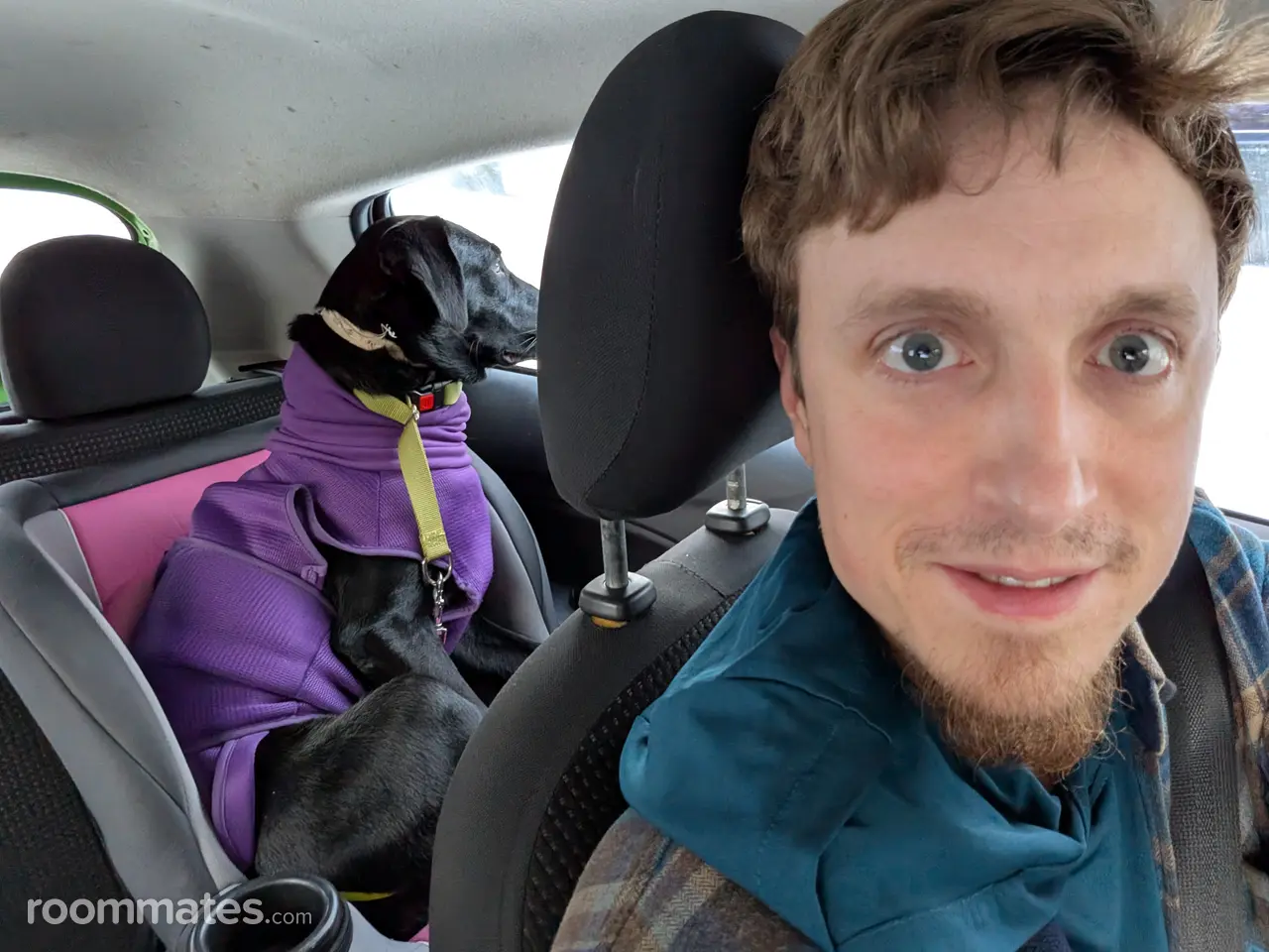 Profile photo 5 of 11