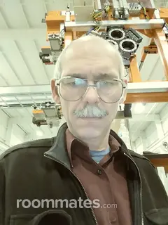 Roommate looking Fenton, MI, $700