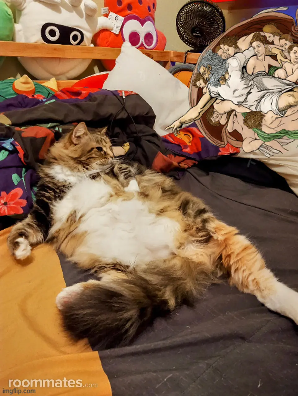 Profile photo 2 of 2