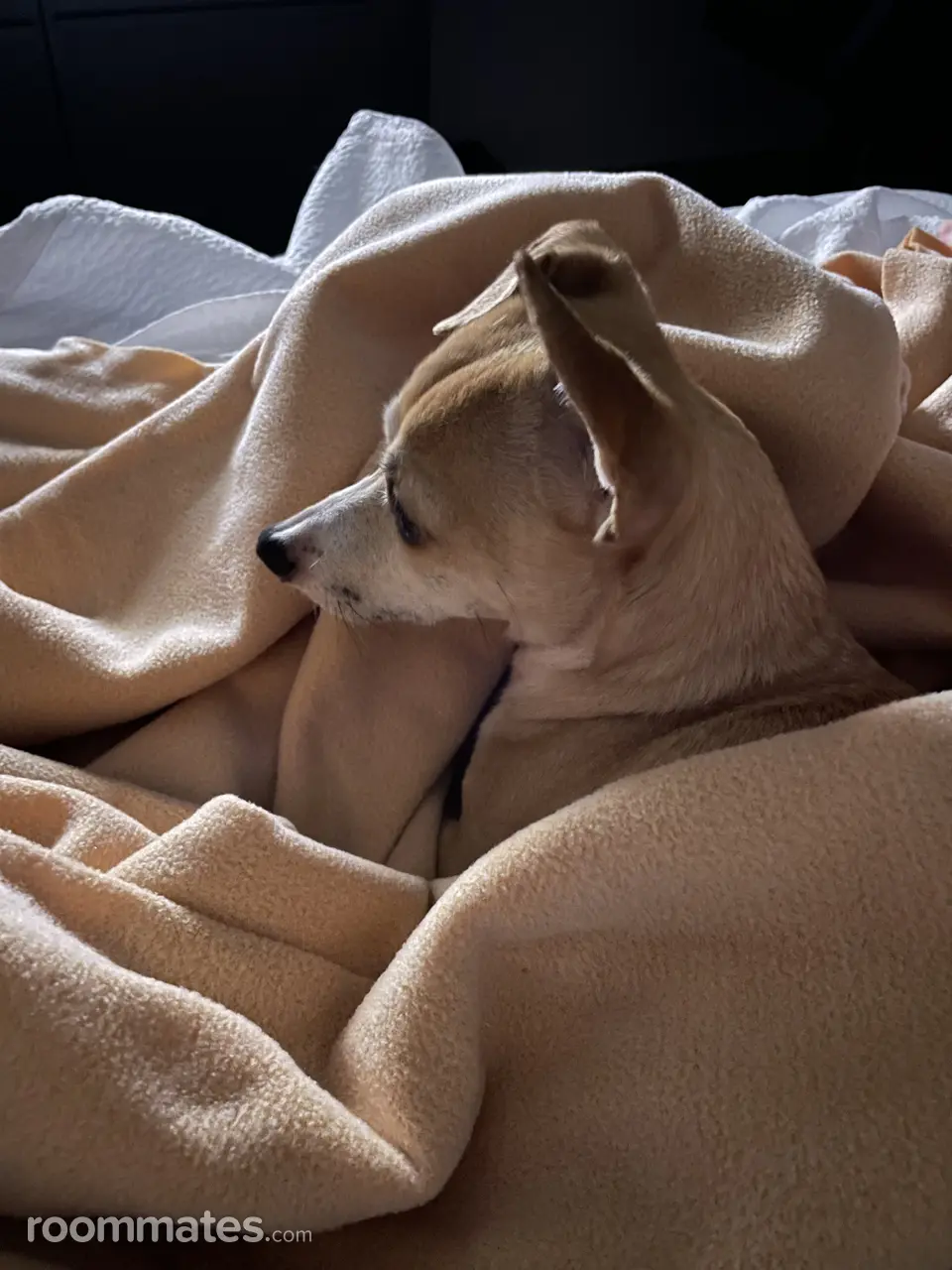 Profile photo 2 of 3