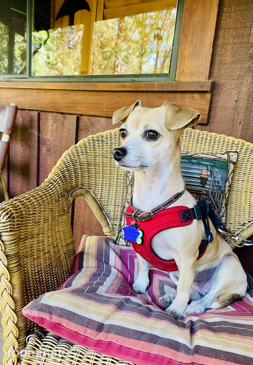 Profile photo 3 of 3