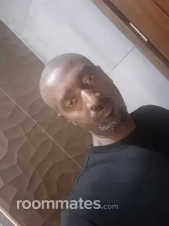 Roommate looking Tucson, AZ, $800