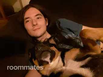 Roommate looking Asheville, NC, $800