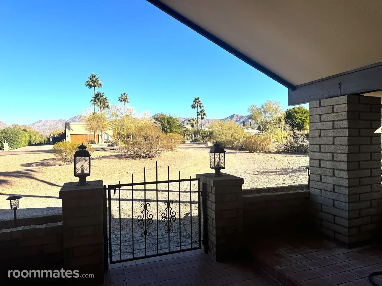 Profile photo 10 of 13