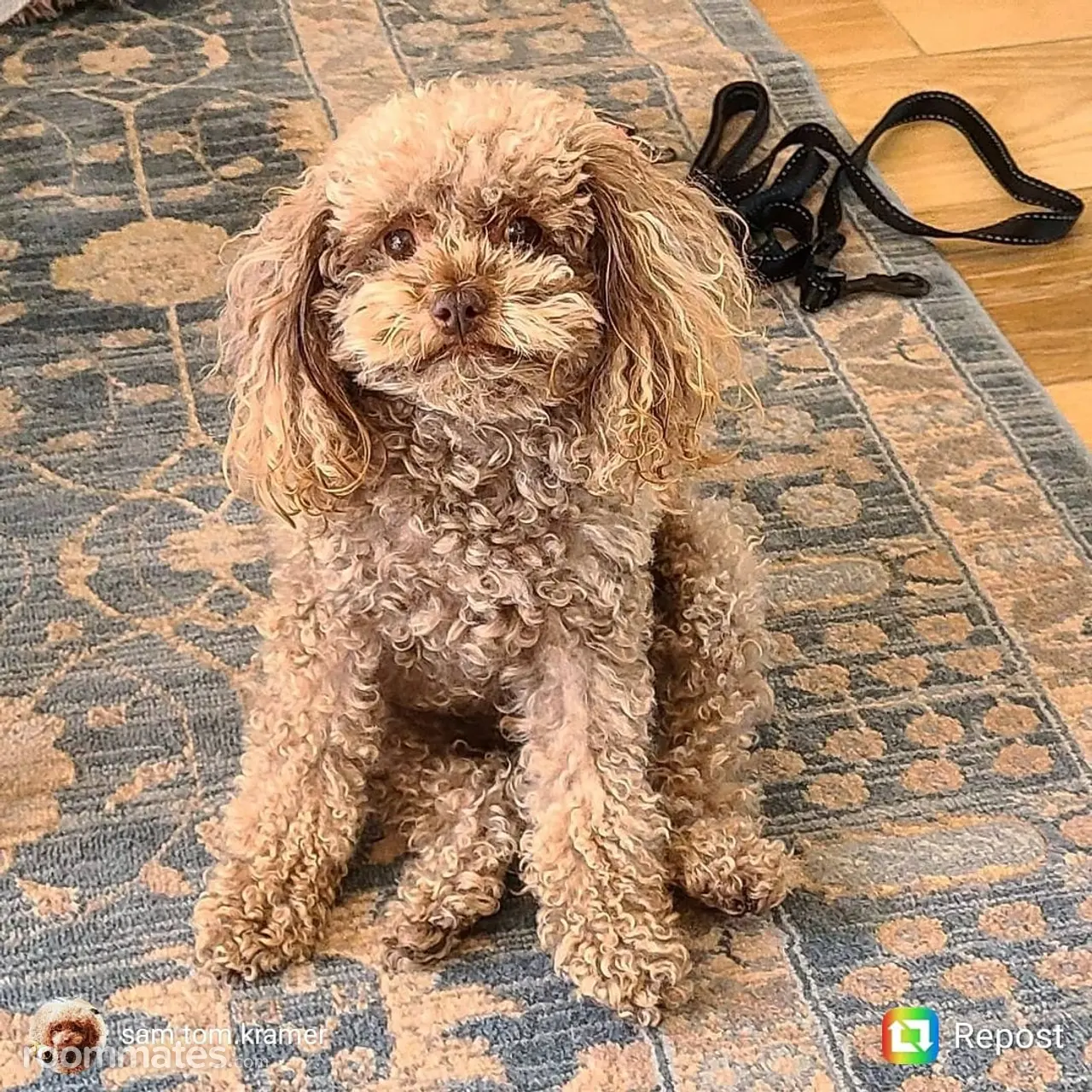 Profile photo 12 of 13