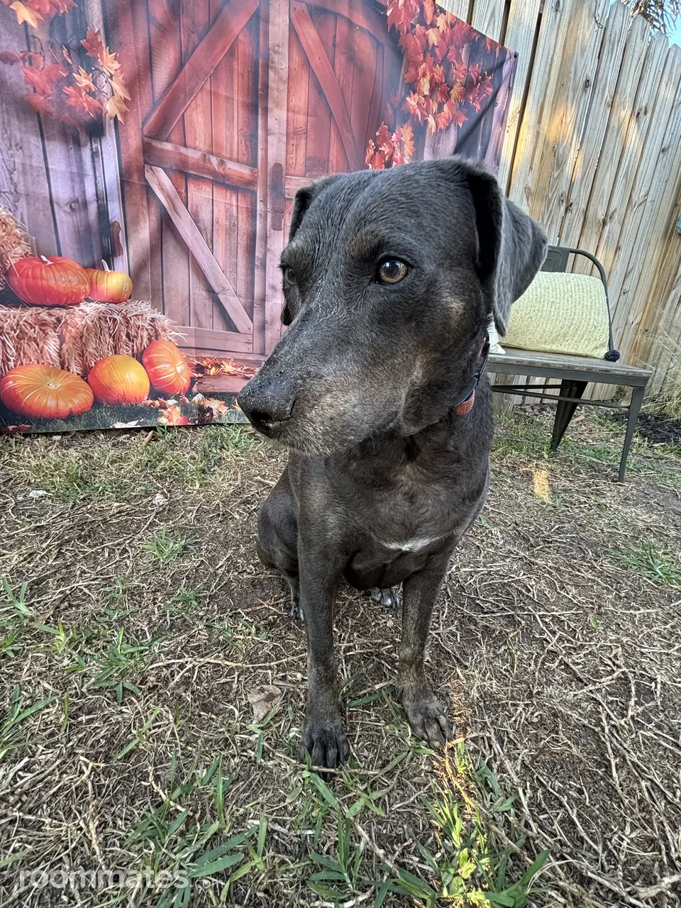 Profile photo 15 of 17