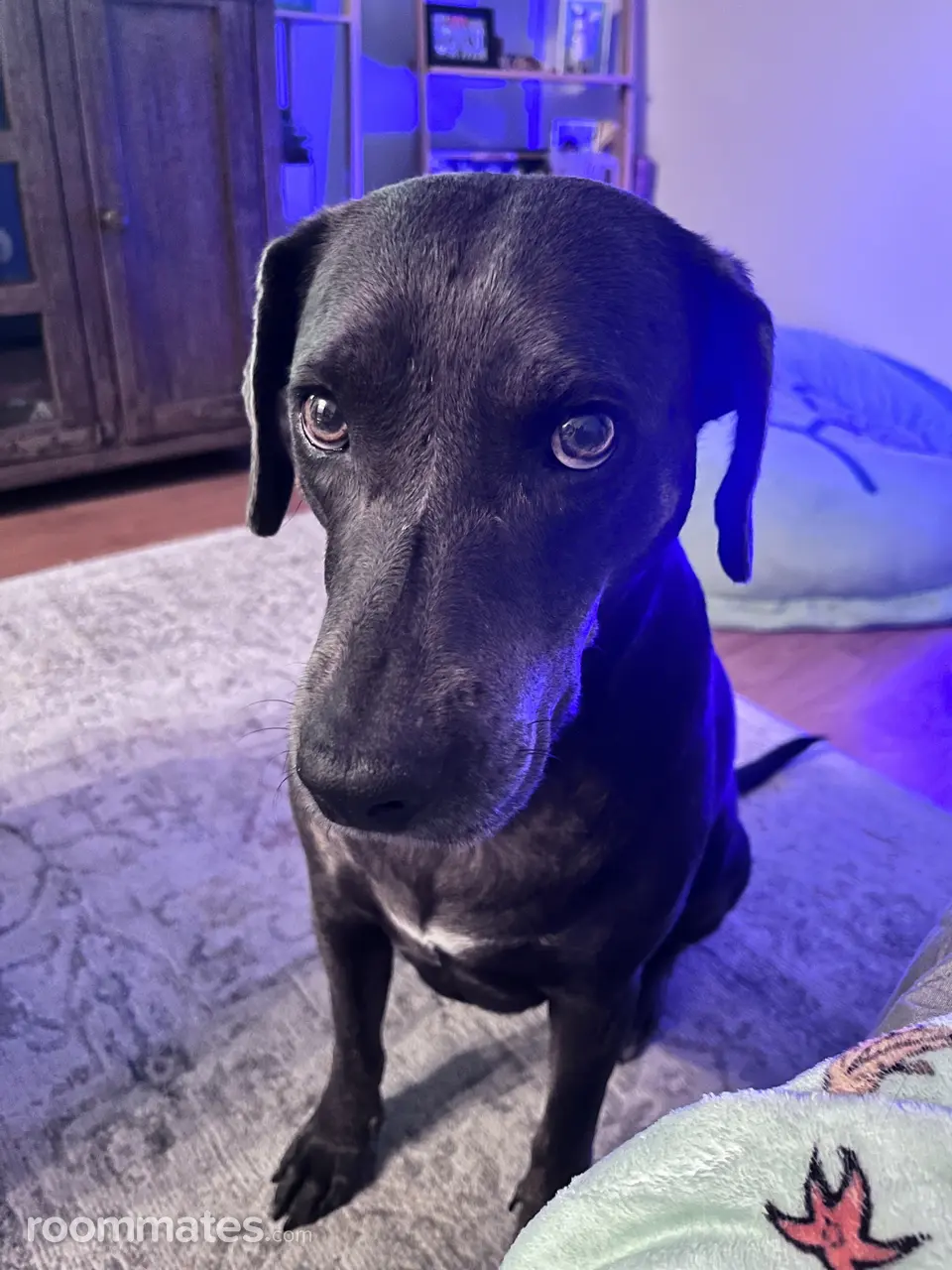 Profile photo 12 of 17