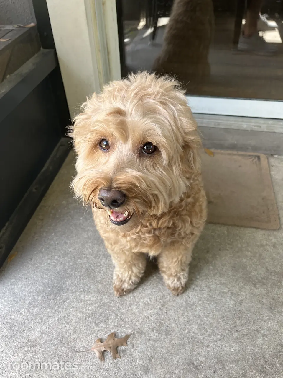 Profile photo 2 of 2