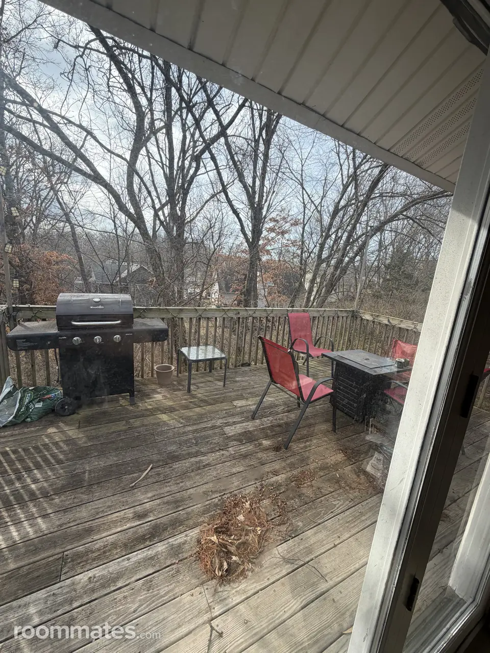 Profile photo 10 of 13