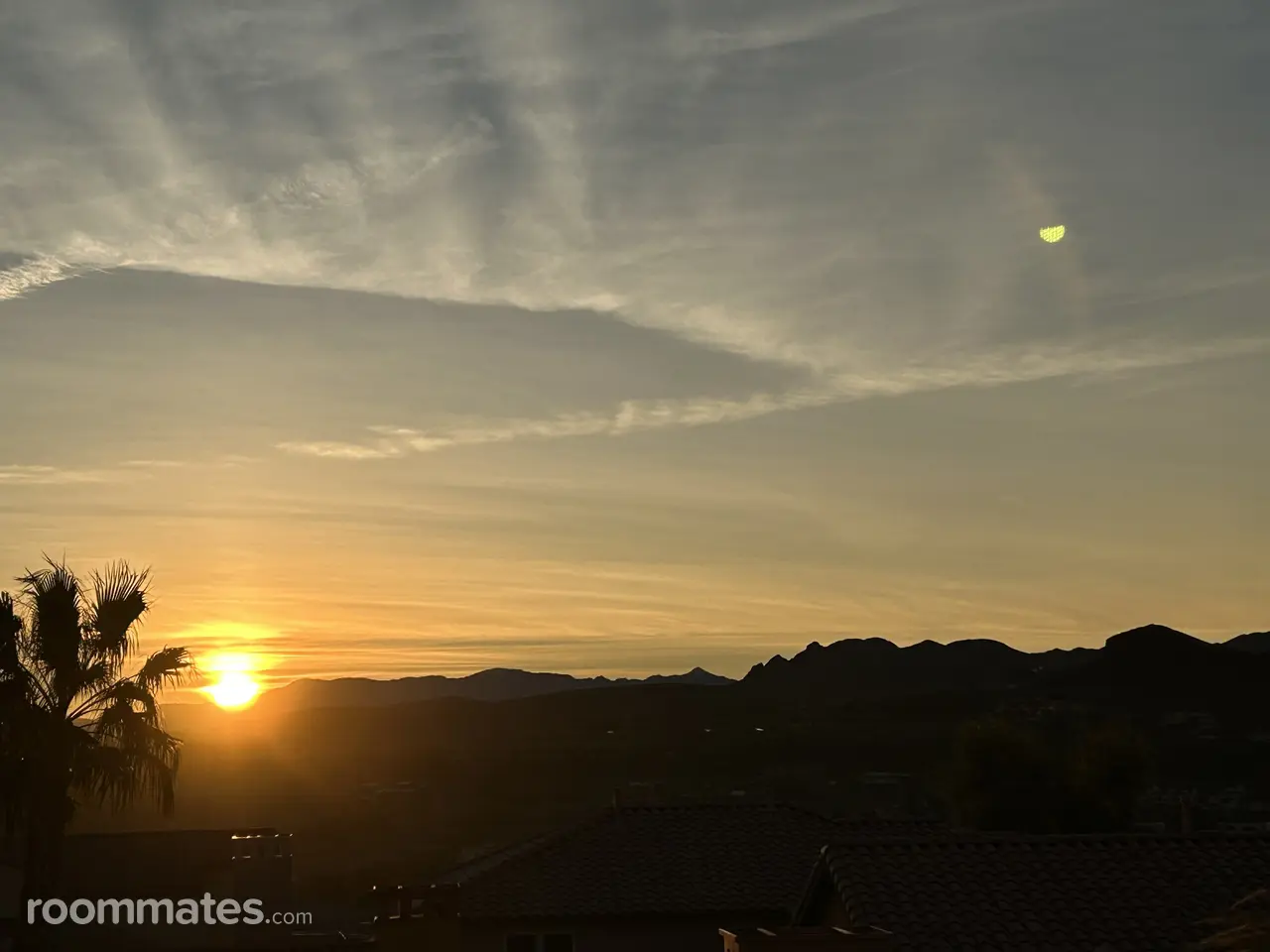 Profile photo 7 of 8