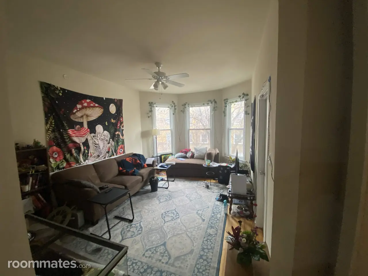 Profile photo 4 of 17