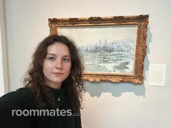 Roommate looking Boston, MA, $1400