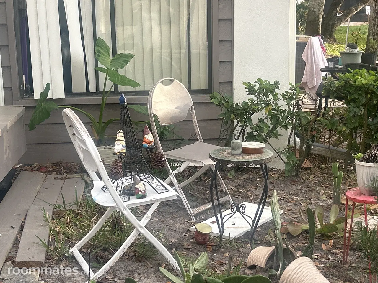 Profile photo 7 of 15