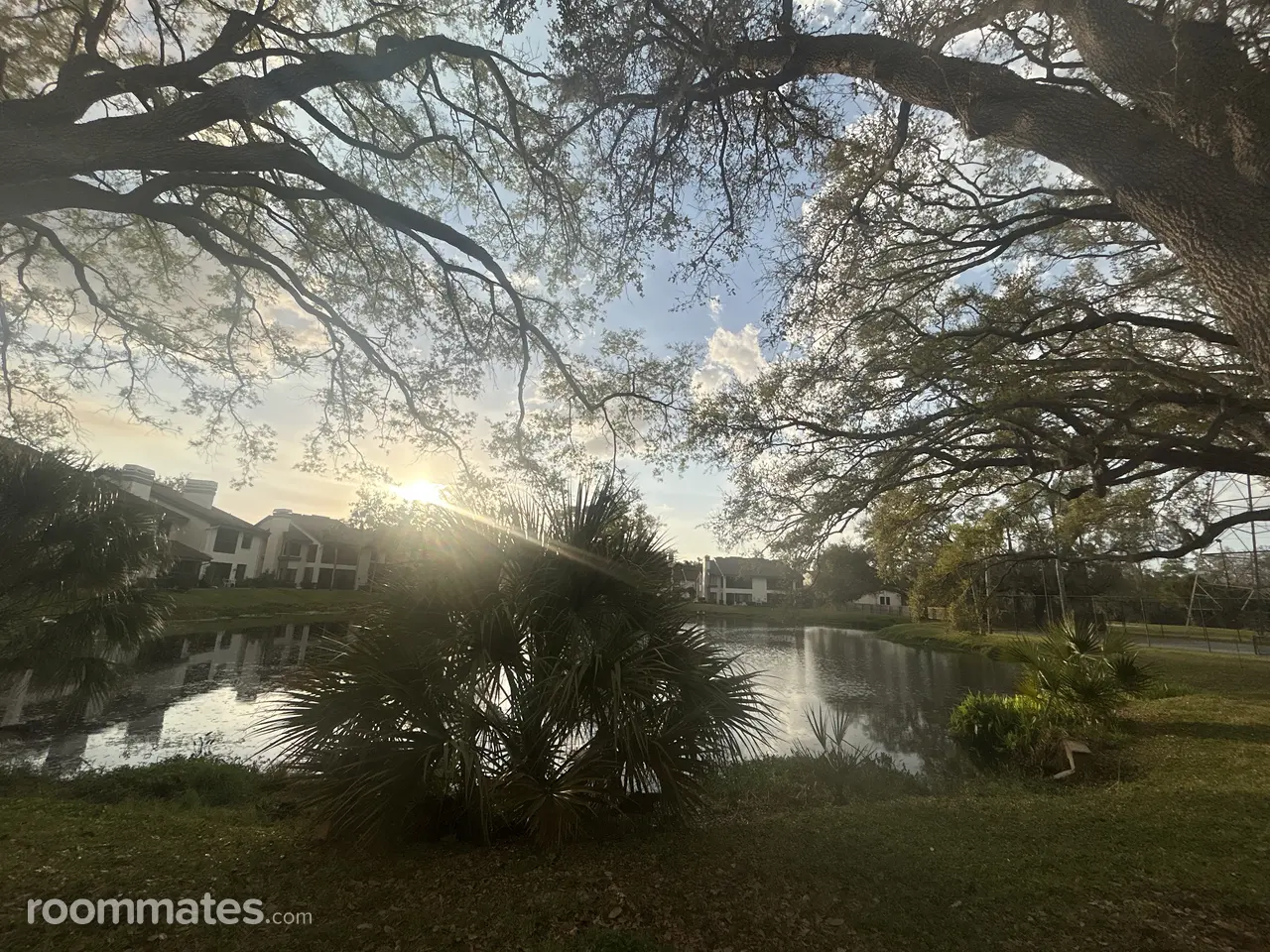 Profile photo 4 of 15