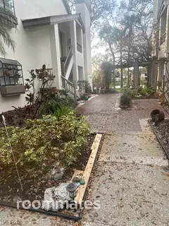 Room for rent in Safety Harbor, FL $985, condo