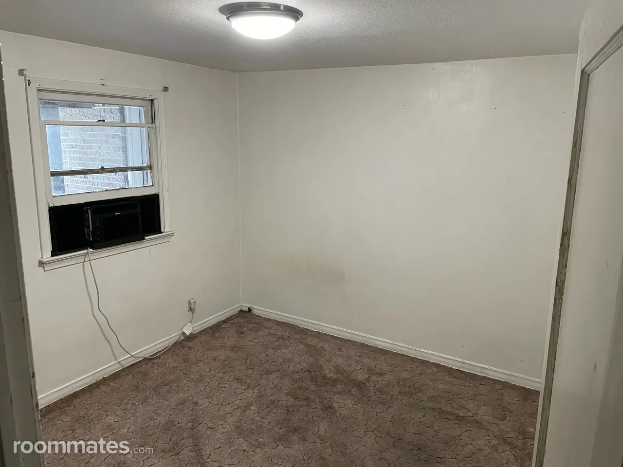 Profile photo 3 of 11