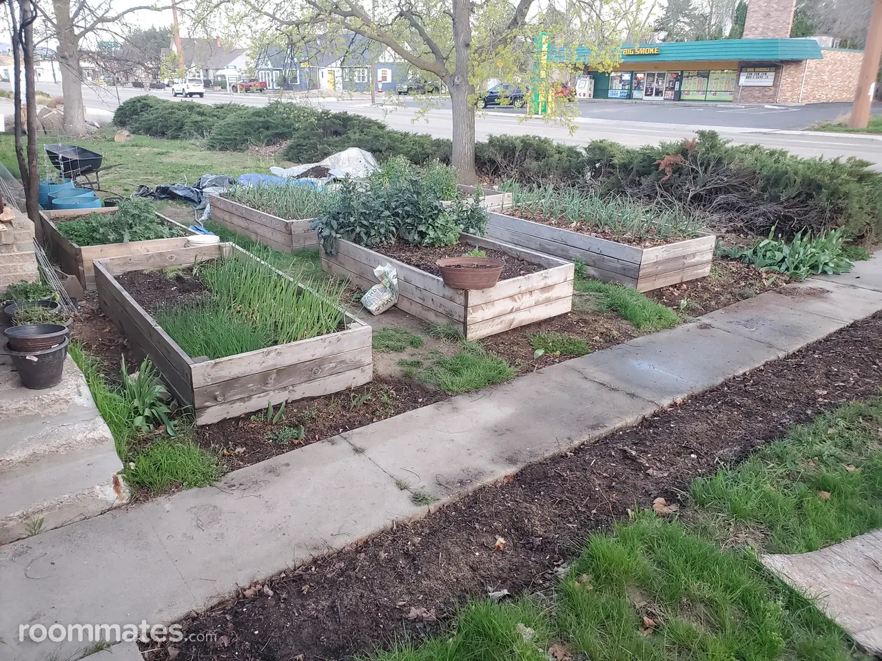 Profile photo 7 of 11