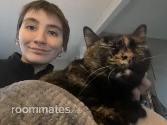 Roommate looking Portland, OR, $700