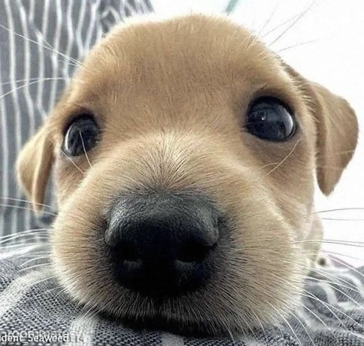 Profile photo 1 of 1