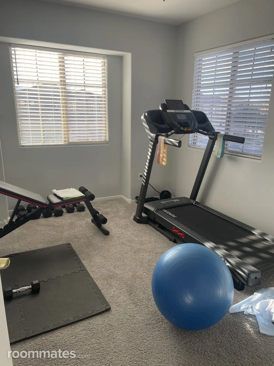 Profile photo 4 of 5