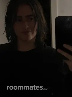 Roommate looking Texas City, TX, $700