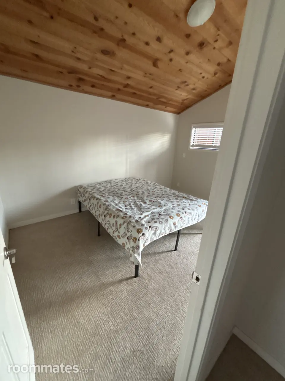 Profile photo 2 of 12