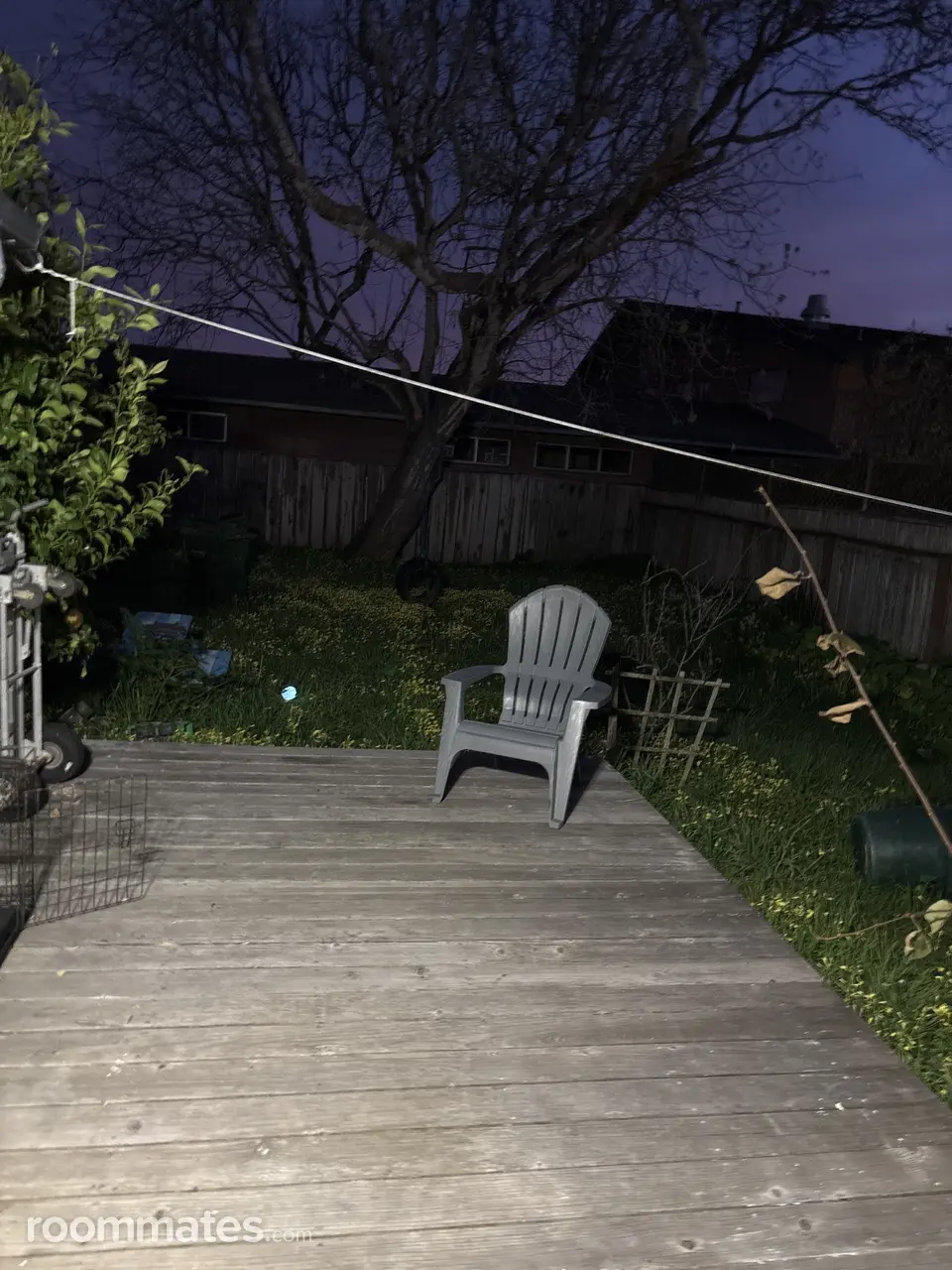 Profile photo 10 of 12