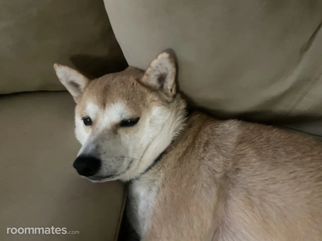 Profile photo 4 of 4