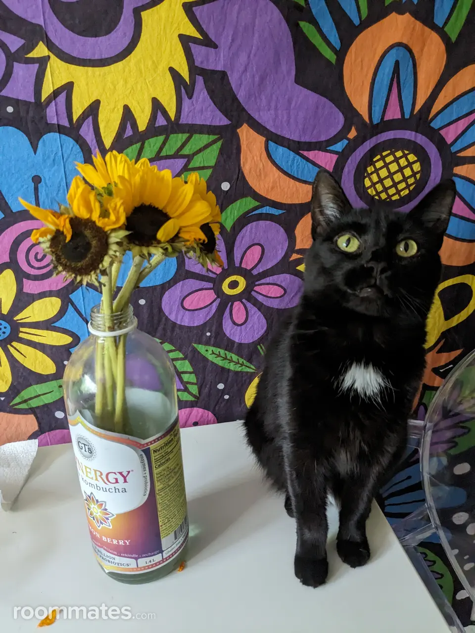 Profile photo 2 of 2