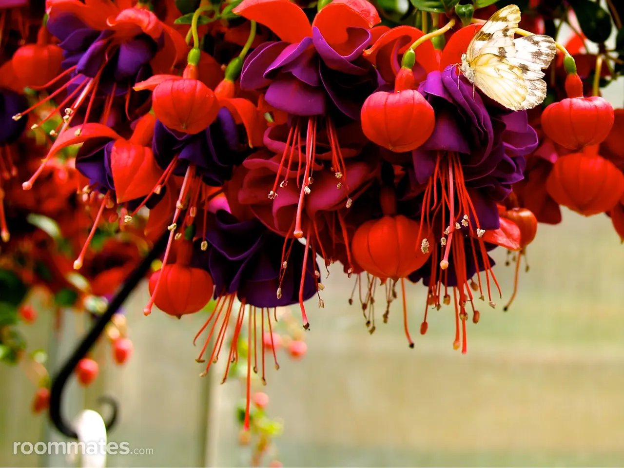 Profile photo 1 of 1