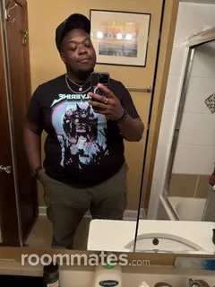 Roommate looking Chicago, IL, $1000