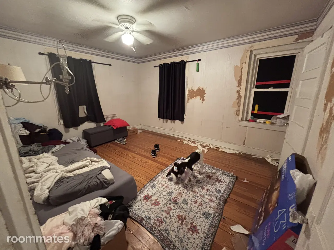 Profile photo 2 of 3