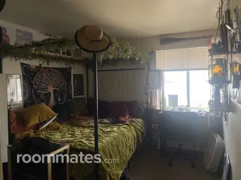 Room for rent in Fort Collins, CO $700, apartment