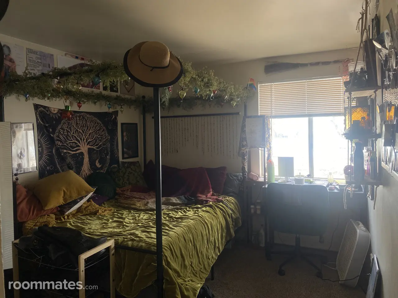 Profile photo 6 of 10