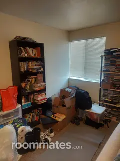 Room for rent in Fort Collins, CO $700, apartment