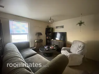 Room for rent in Fort Collins, CO $700, apartment