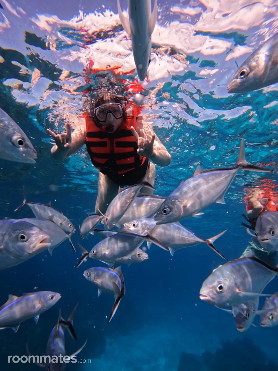 Profile photo 2 of 5