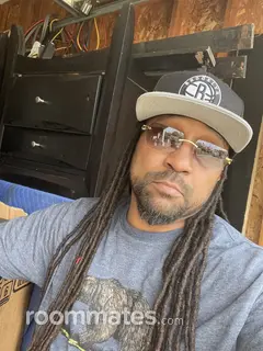 Roommate looking Ypsilanti, MI, $900