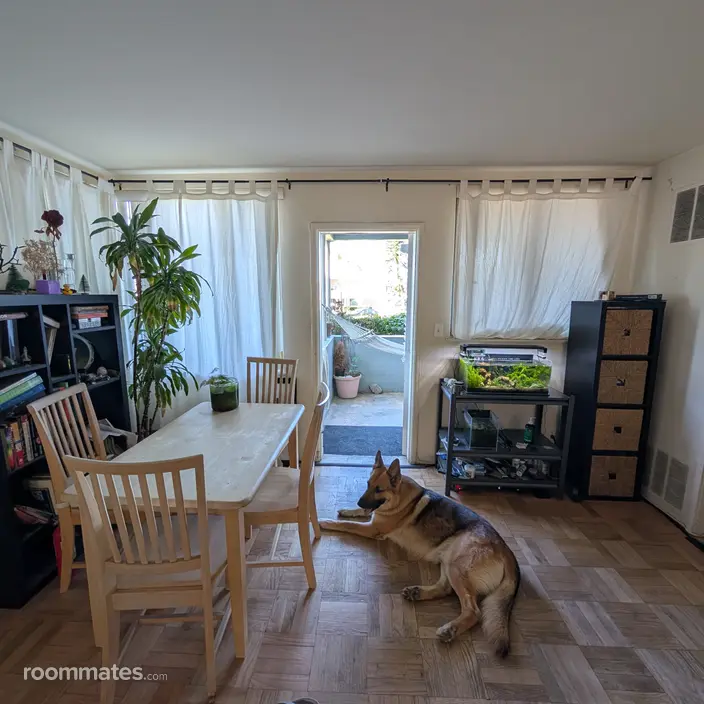 Room for rent in La Jolla, CA $1250, apartment