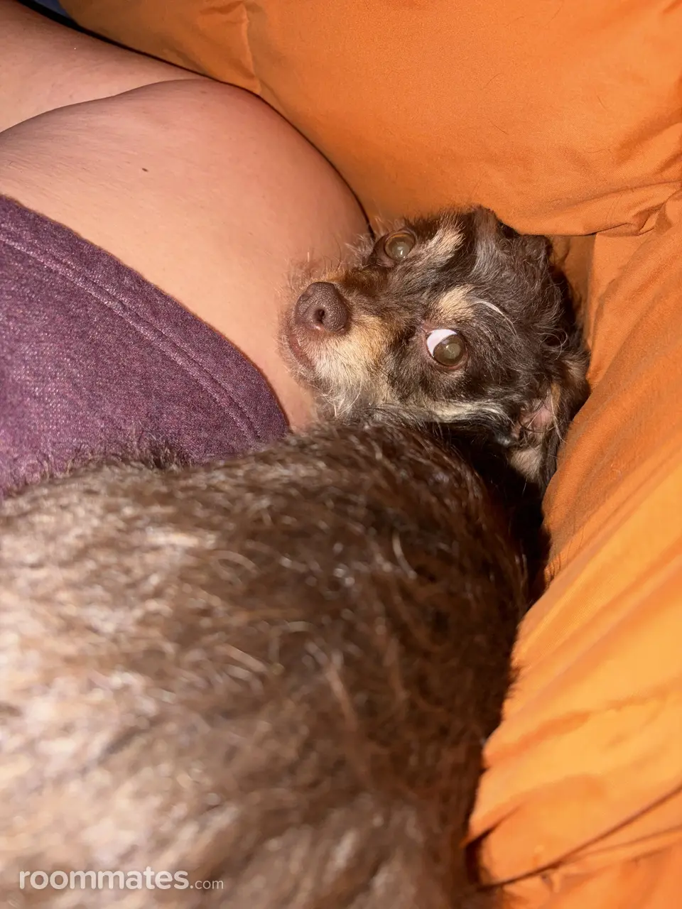 Profile photo 6 of 9