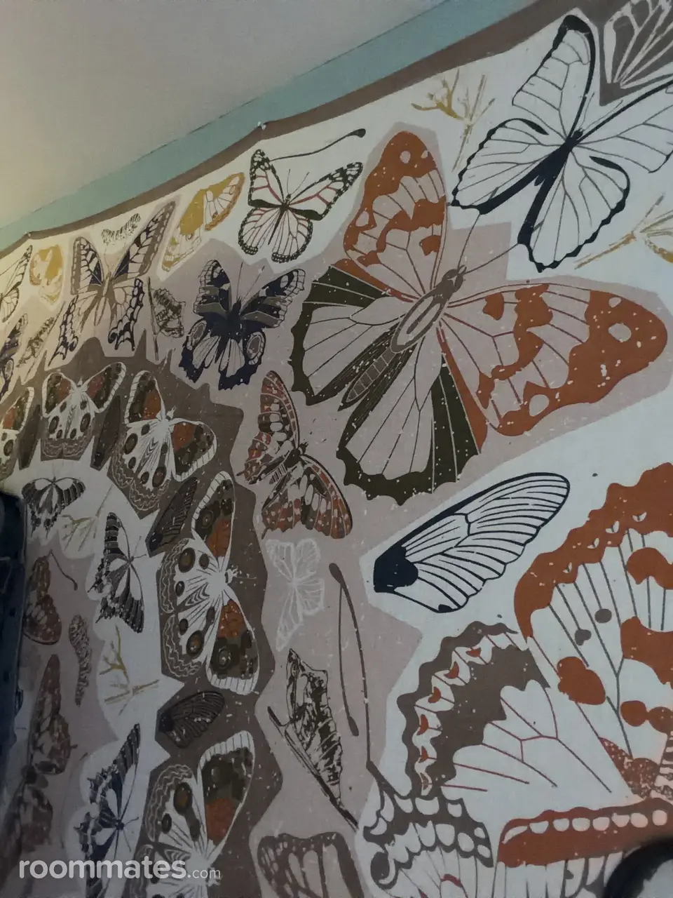 Profile photo 4 of 9